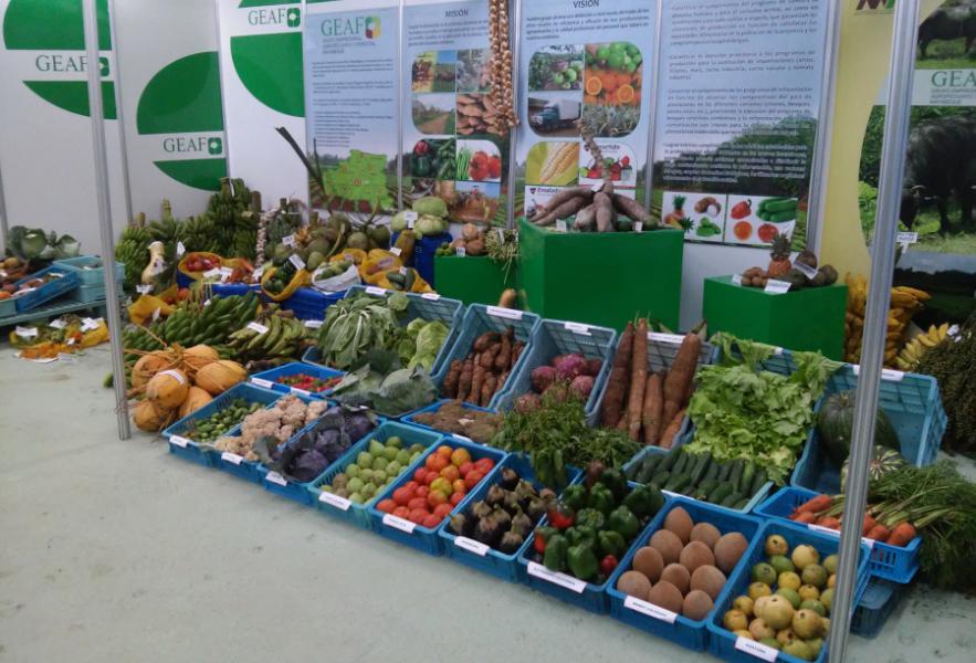 Feria Agroalimentaria cubana gana en relevancia y diversificación (+Premios)