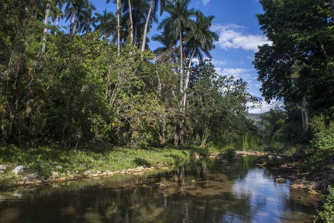 Topes de Collantes: la consagración de la naturaleza