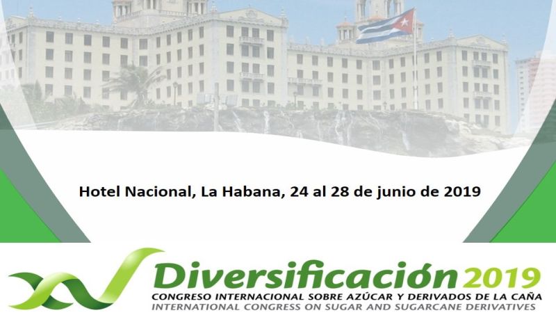 Diversificación 2019