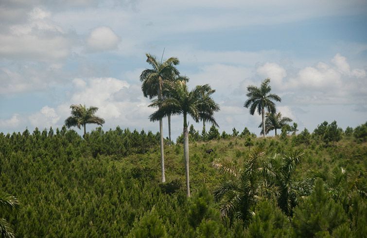Alcona valoriza la naturaleza en Cuba
