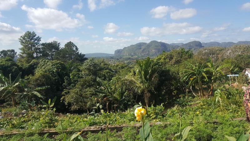 Festival de Tradiciones de Viñales: por un turismo comunitario sostenible