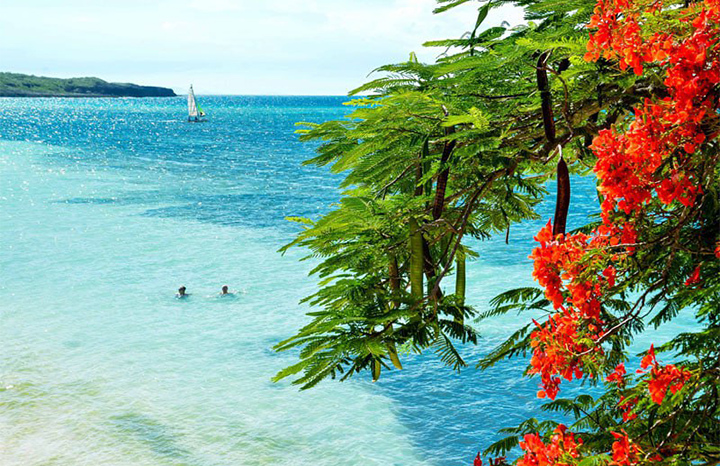 Guardalavaca se mantiene libre de sargazos