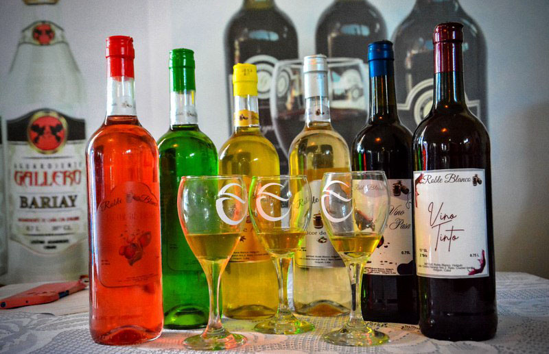 Roble Blanco impulsa la economía local en Holguín con licores artesanales