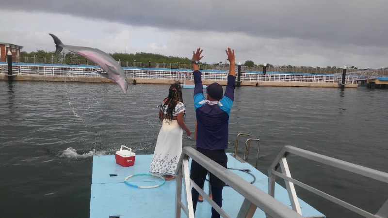Jardines del Rey, listo para temporada alta del turismo en Cuba