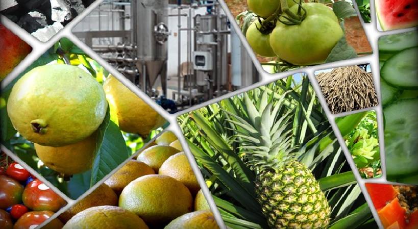 Empresa Agroindustrial Ceballos