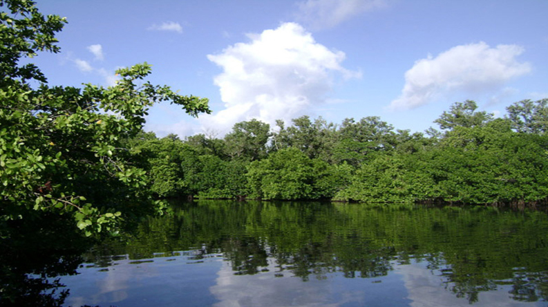 Ciénaga de Lanier
