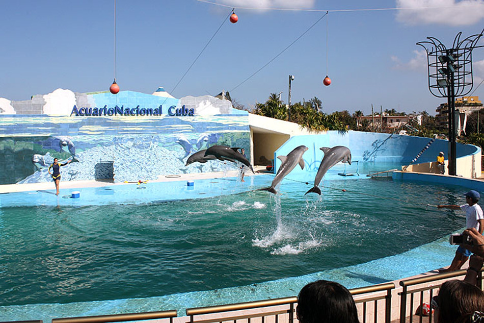 Acuario Nacional de Cuba