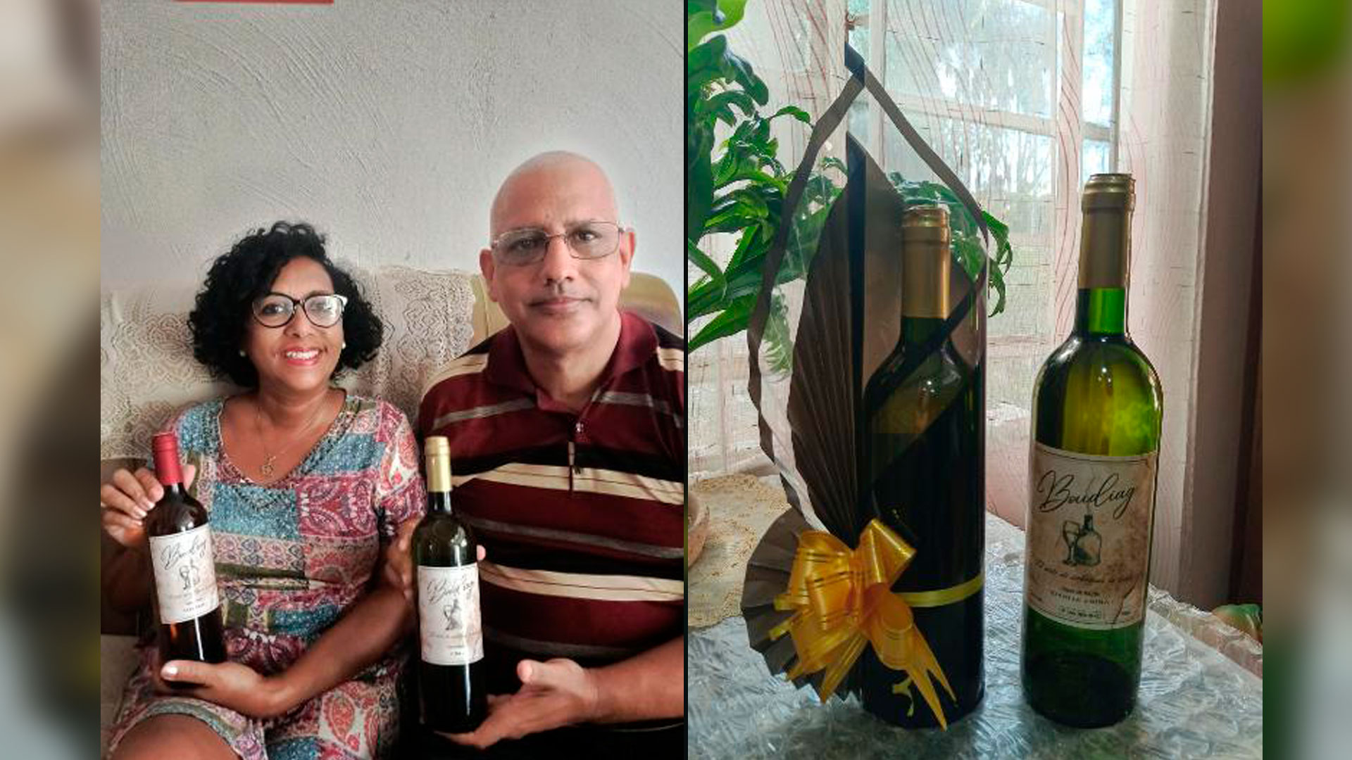 Otro científico cubano incursiona con éxito en la producción vinícola