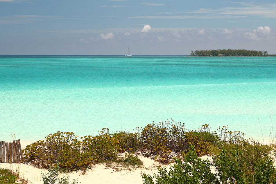 Conservan dunas de Playa Pilar, Cayo Guillermo, por Día Mundial del Medio Ambiente