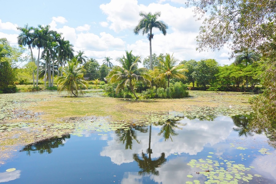 Ciénaga de Zapata, Cuba