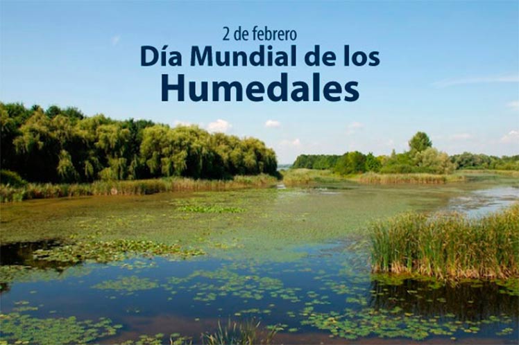 Humedales