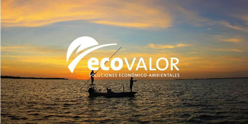 Proyecto Ecovalor