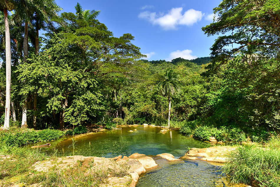 Parque Natural El Nicho 