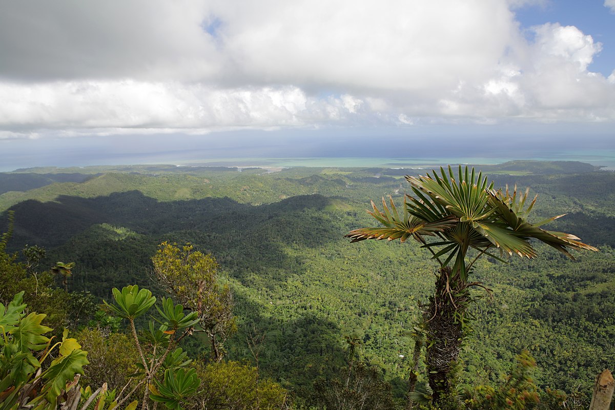 El Yunque