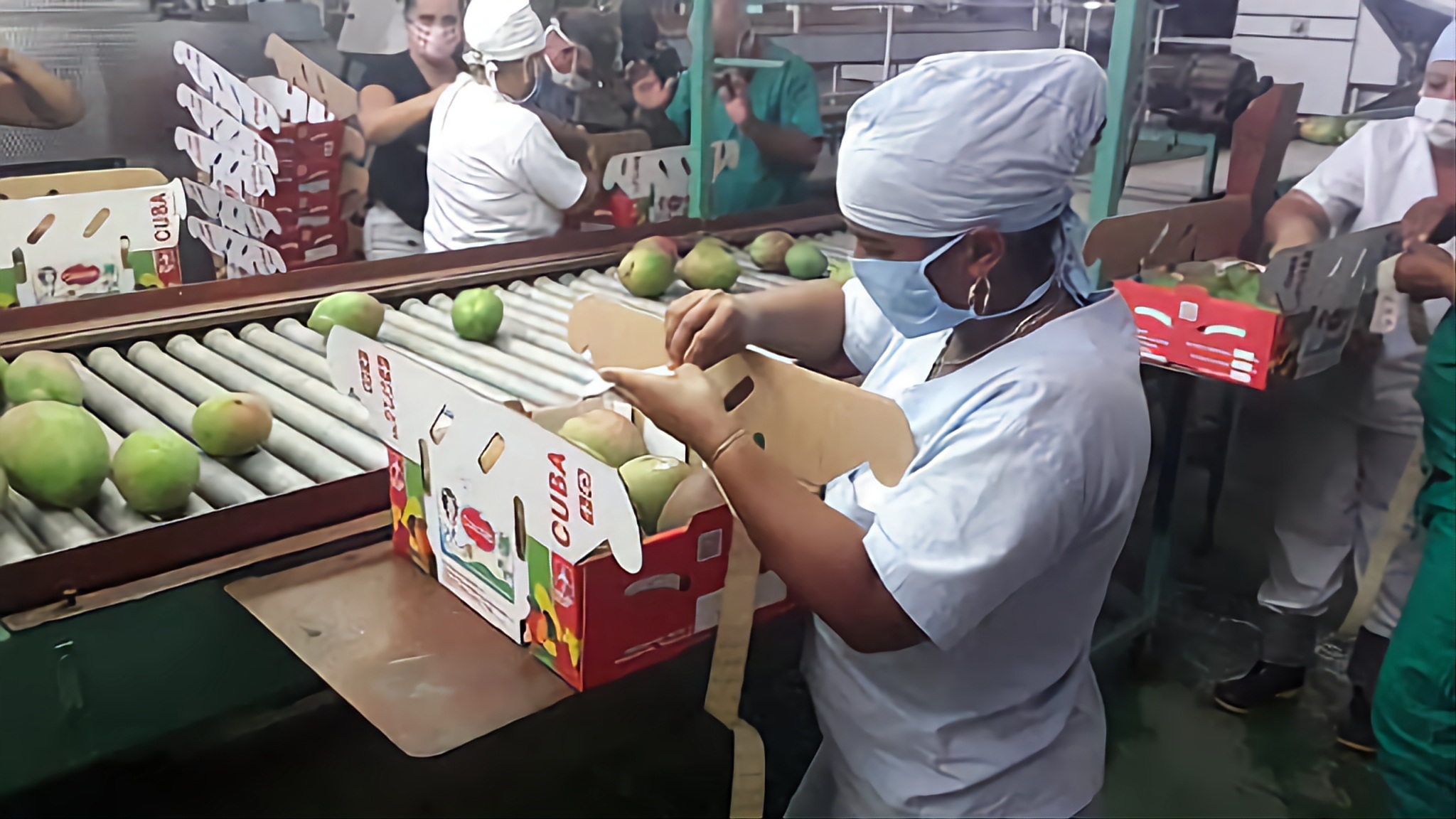 Cienfuegos busca inversión extranjera en la Feria Internacional Exposur 2023