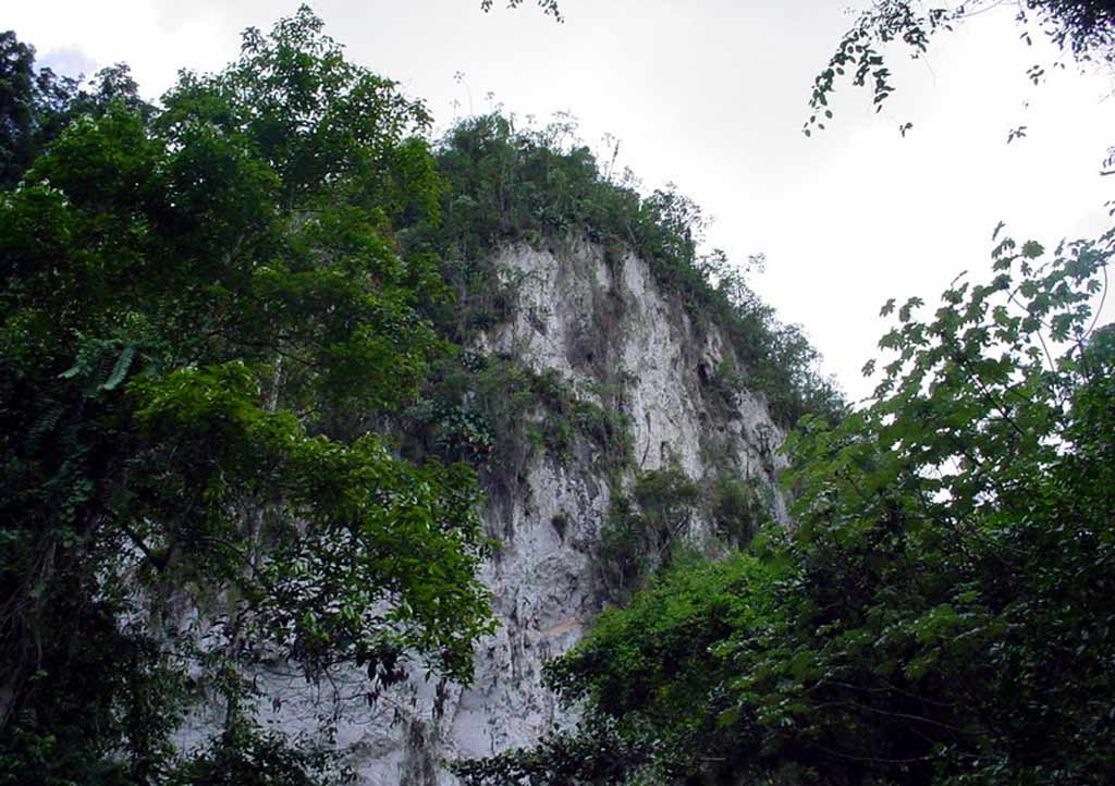 Farallones de Moa