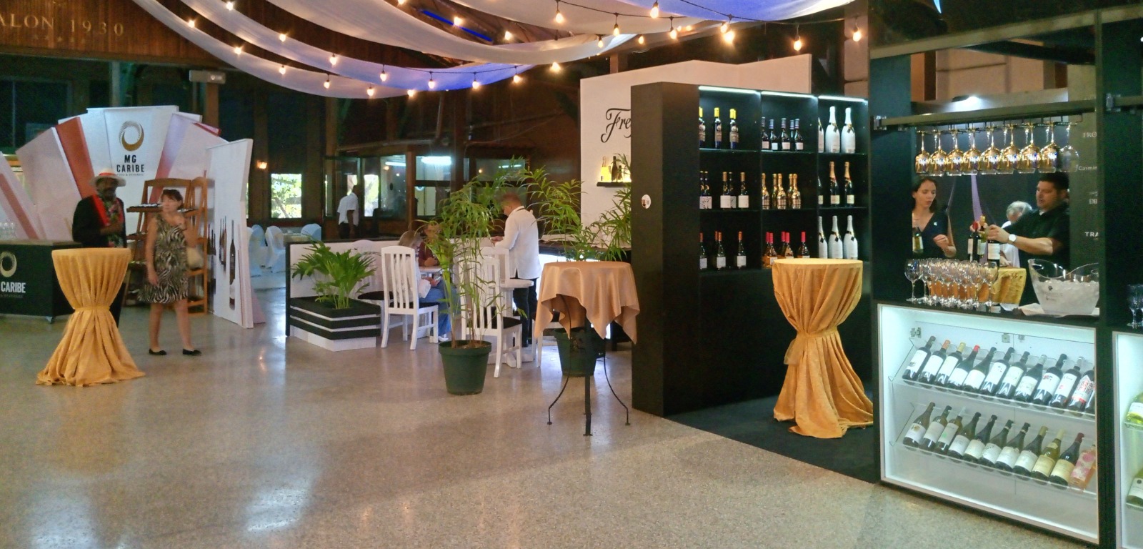 Fiesta Internacional del Vino