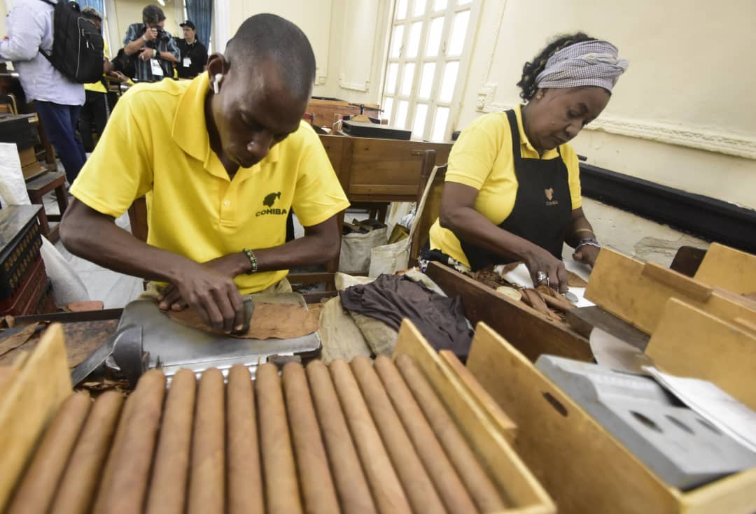 Torcedores de Habanos en Cuba.