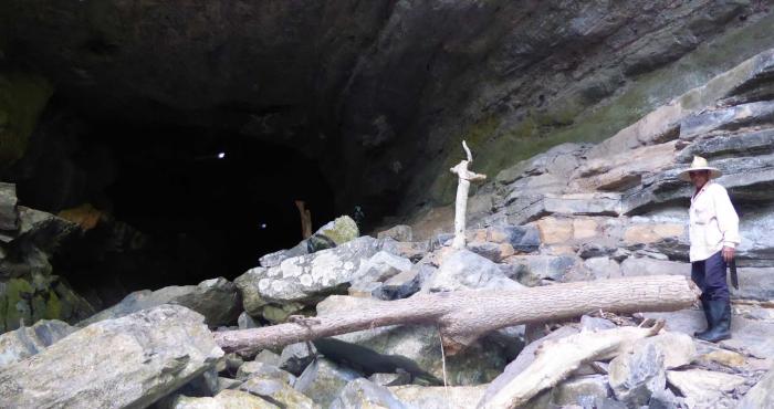 Preservan en Viñales un fósil de saurio gigante 