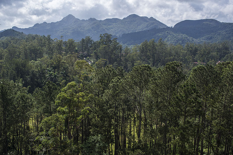 Topes de Collantes