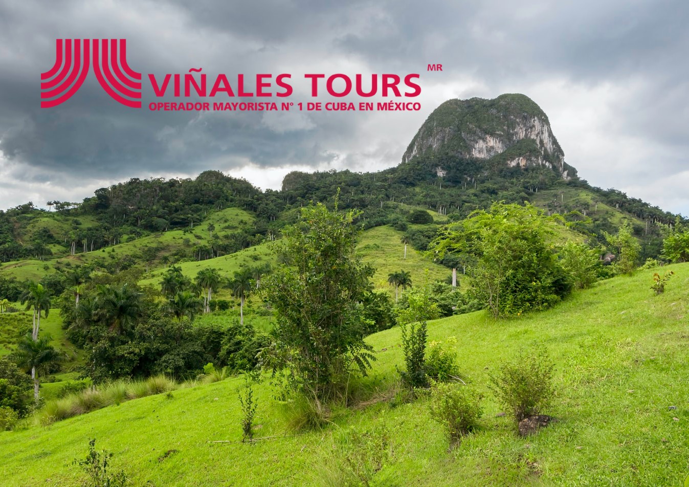 Viñales Tours