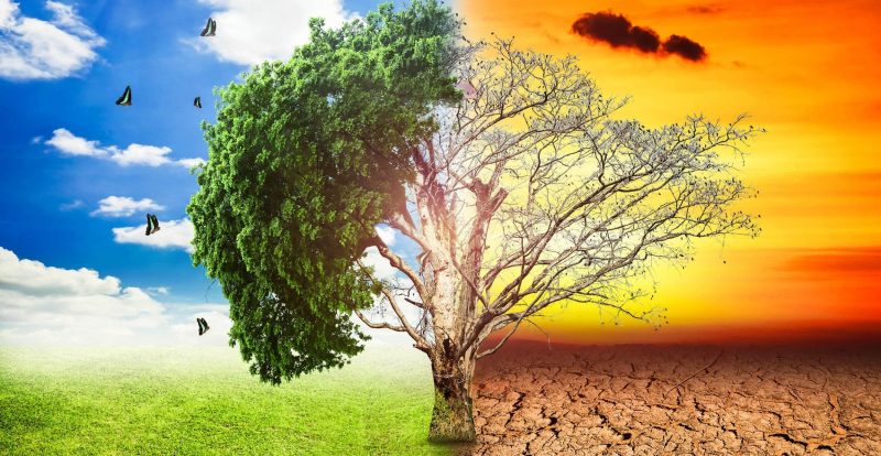 Cambio climático