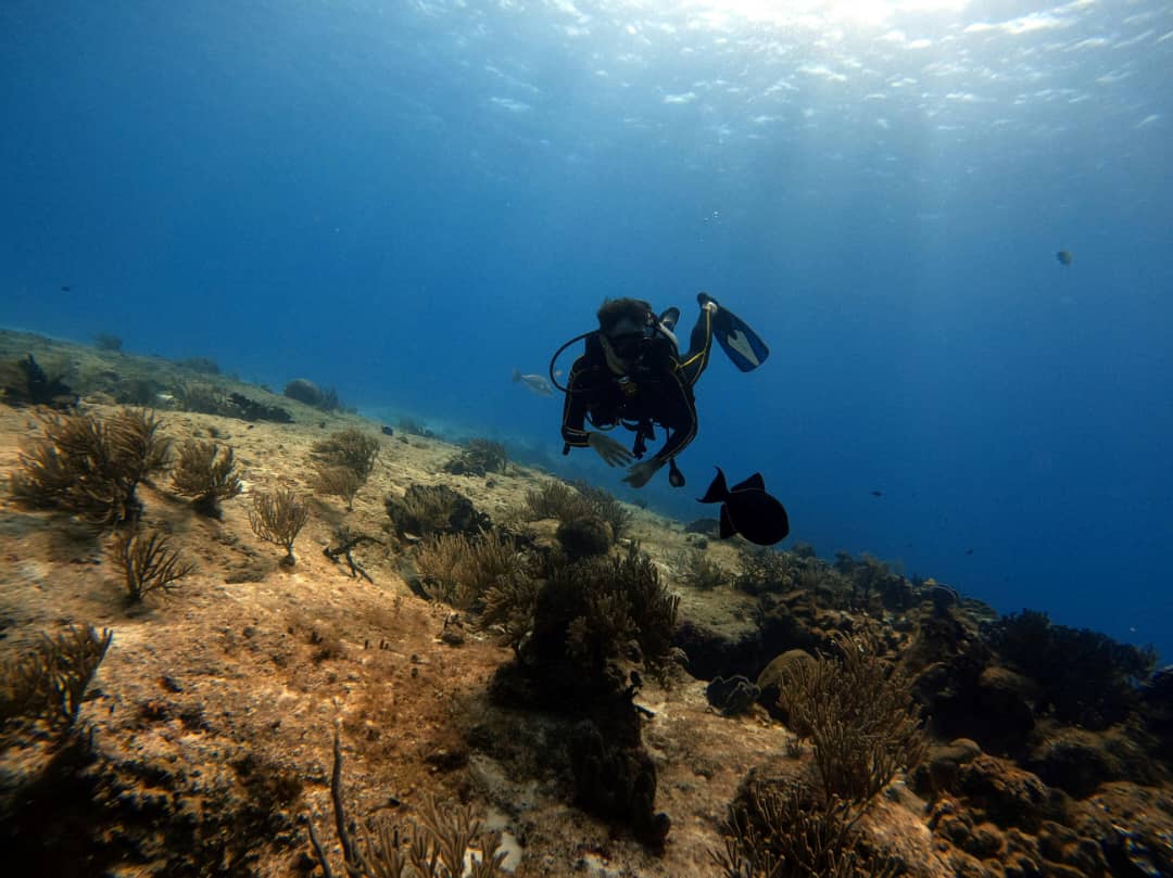 Cayo Santa María, buceo en el inconmensurable abismo azul del atlántico cubano