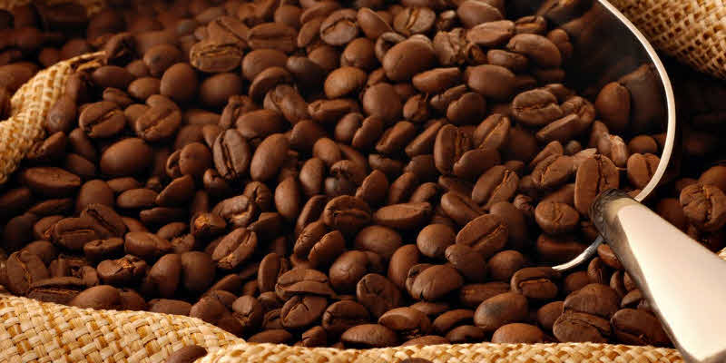 café especial en grano