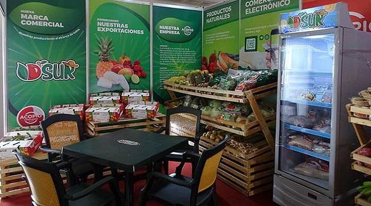 Cienfuegos amplía su oferta exportable con más de 100 productos