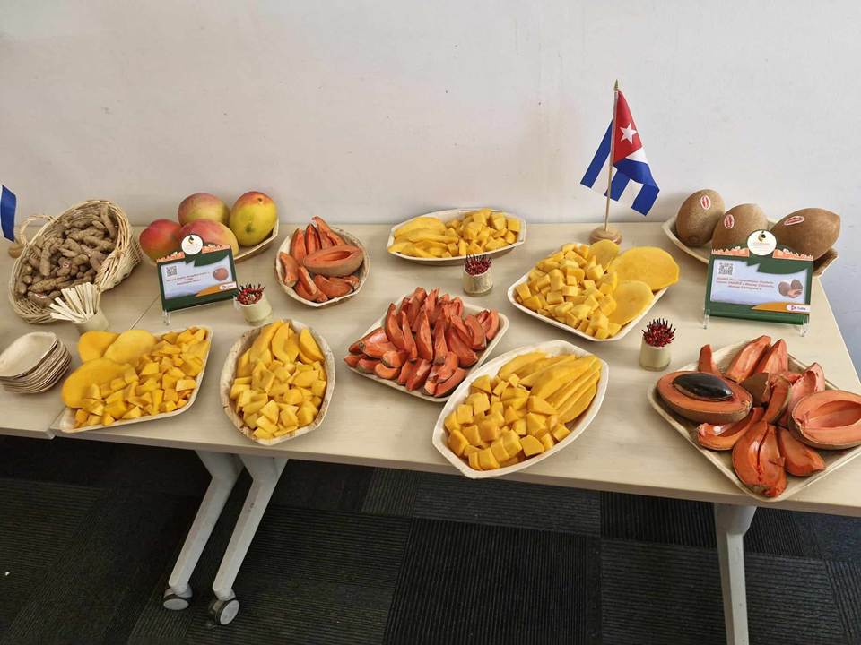 Cienfuegos presenta productos agrícolas en Marsella