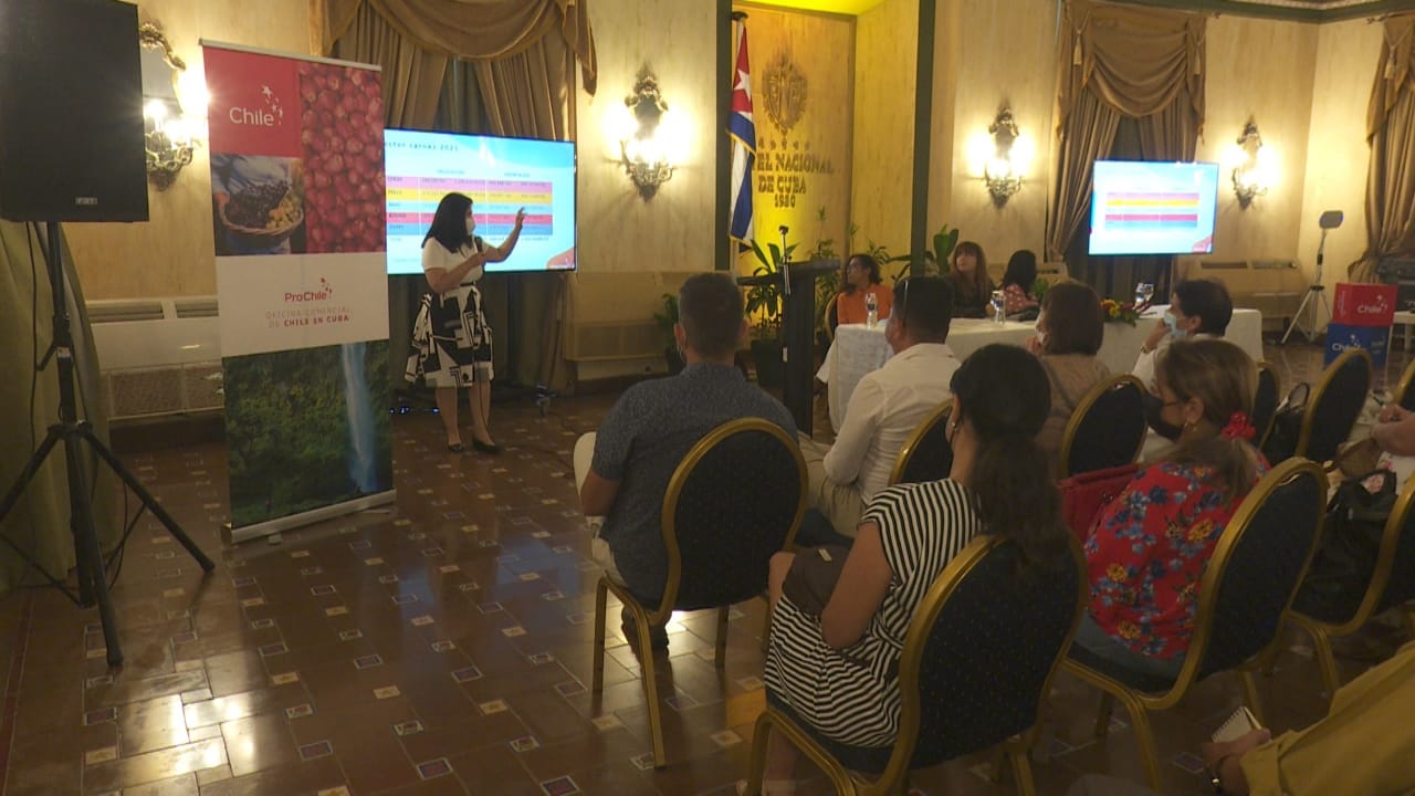 Seminario Potencialidades de negocios con Chile: alimentos, celebrado en Cuba