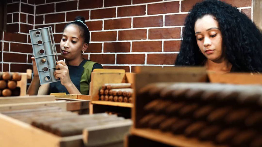 Empresa de Santiago de Cuba busca incrementar exportaciones y calidad de los Habanos