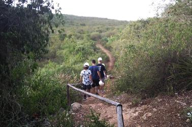 Sendero de camino a la Cueva del Silencio