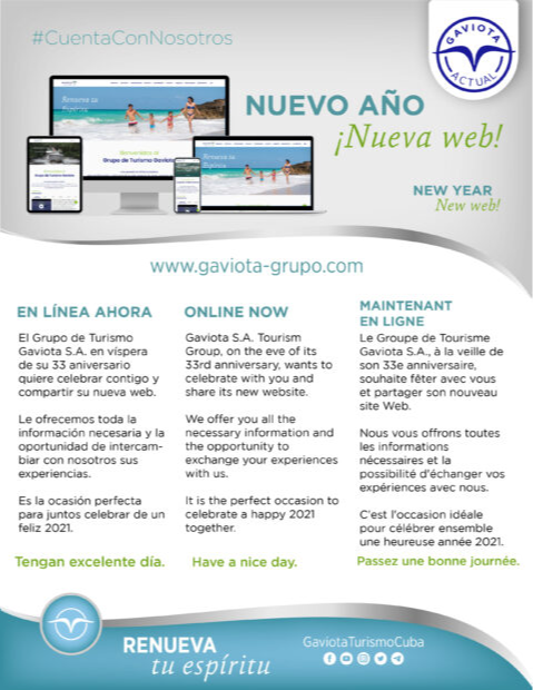Imagen del nuevo sitio web del Grupo Gaviota