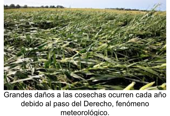 Derecho-daño a cosechas