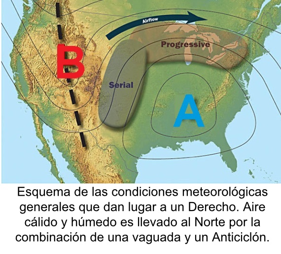 Derecho-formación