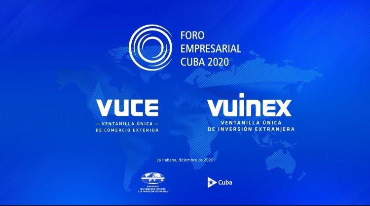 VUCE y VUINEX