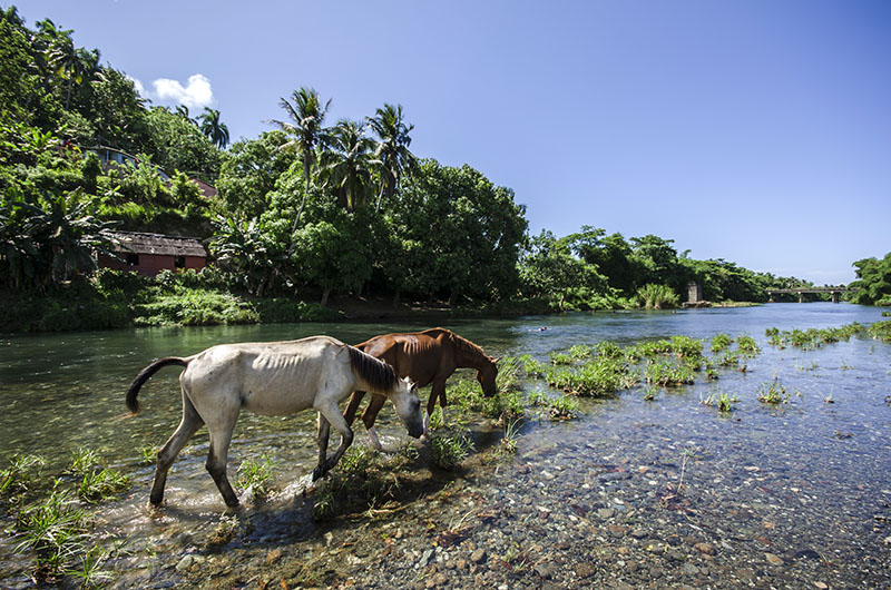 Baracoa (5)