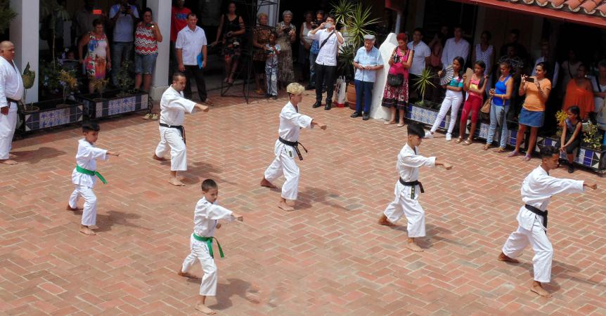 Cultura japonesa en Santiago de Cuba