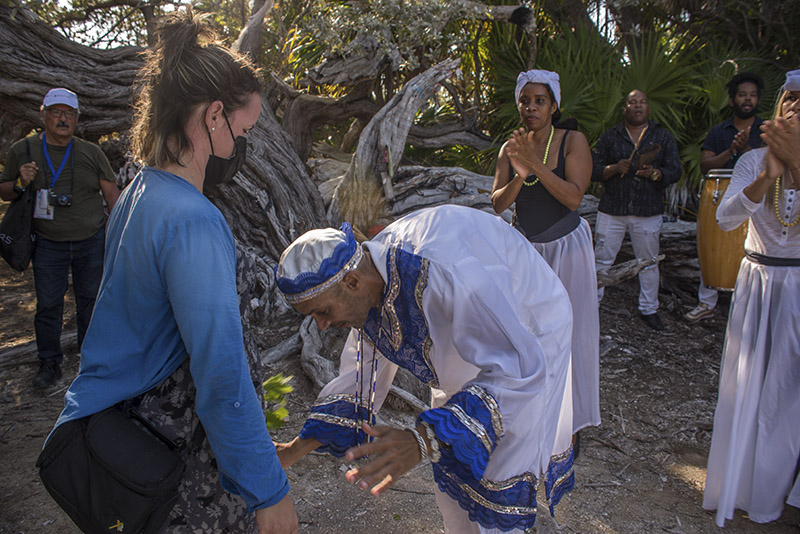 La Yana, el árbol brujo de Cayo Largo del Sur