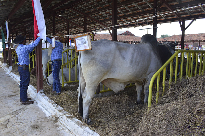 Fiagrop 2022