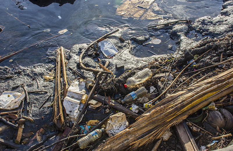 FOTO Detritus como estos navegan en los albañales de la ciudad y son extraidos por la cámara de rejas.