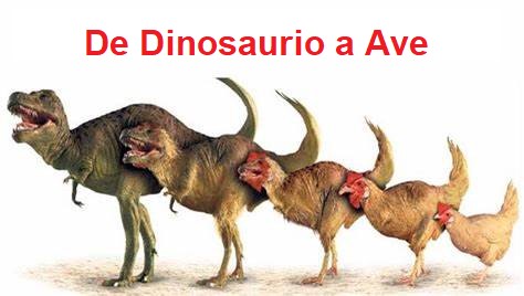 Dinosaurio Aviario