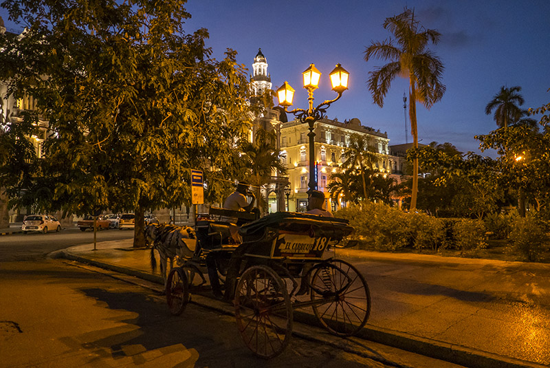 Farolas del Parque Central