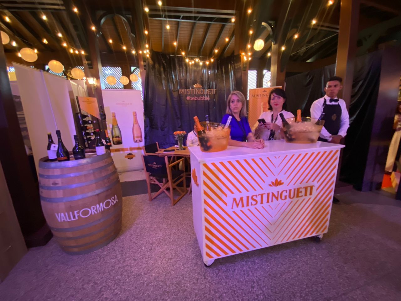 22da. Edición de la Fiesta Internacional del Vino