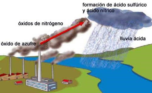 FormaciónÁcidos