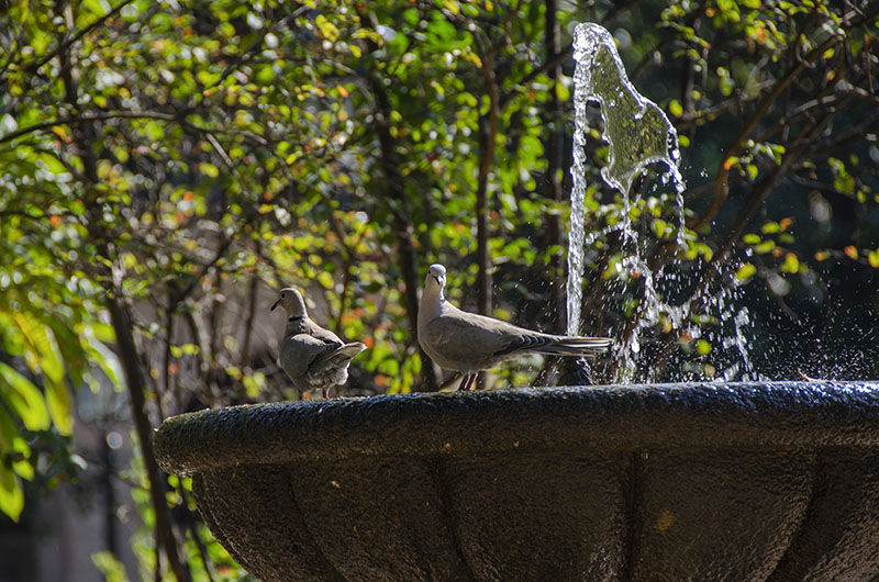 Fuente de la Plaza de Armas