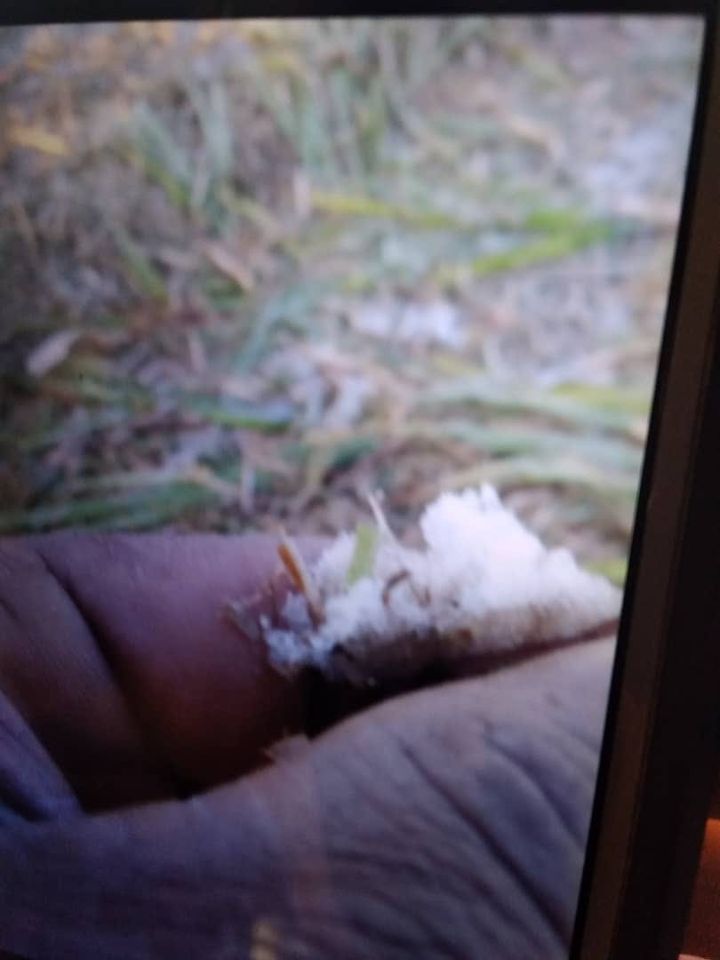 Escarcha recogida en Bainoa