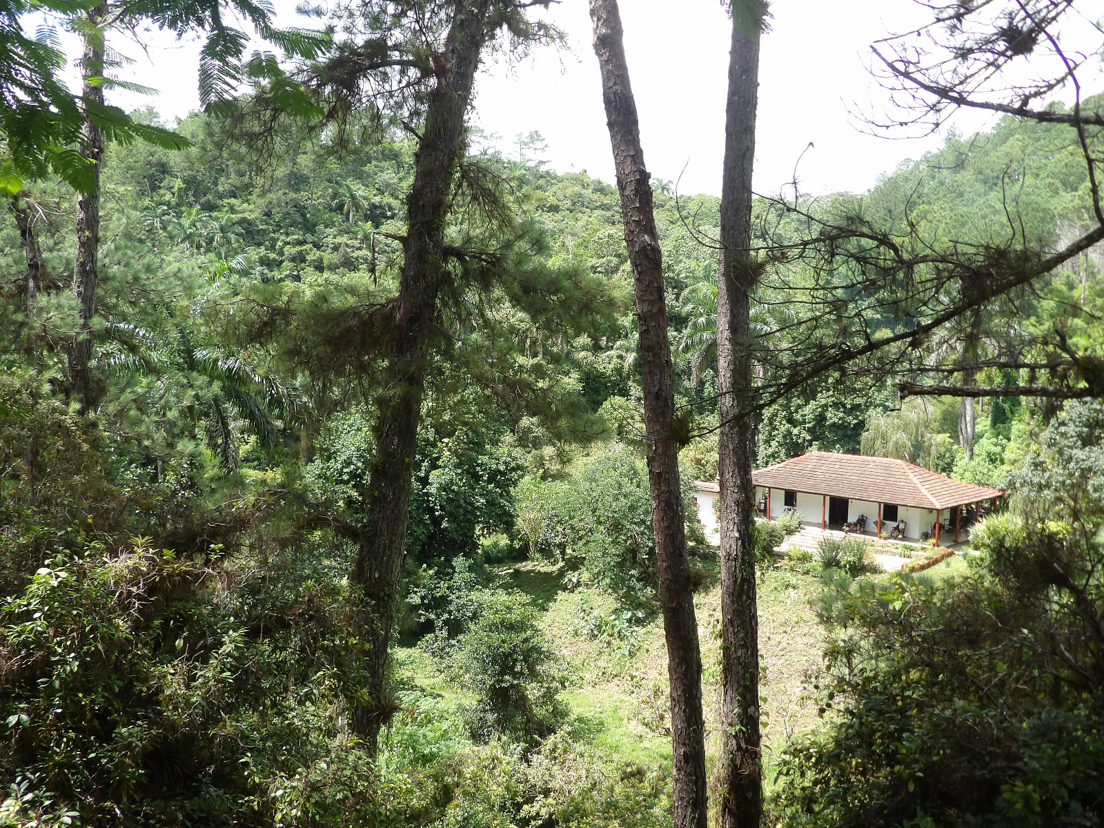 Topes de Collantes