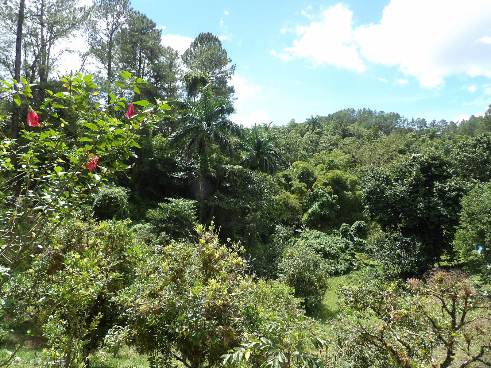 Topes de Collantes